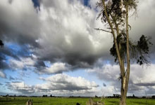 全国春季游泳锦标赛落幕 天津选手王长浩获1金1铜.