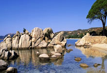 乐鱼体育官网：[天下足球]门将立奇功 红魔淘汰枪手.